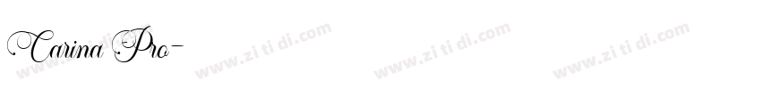 Carina Pro字体转换